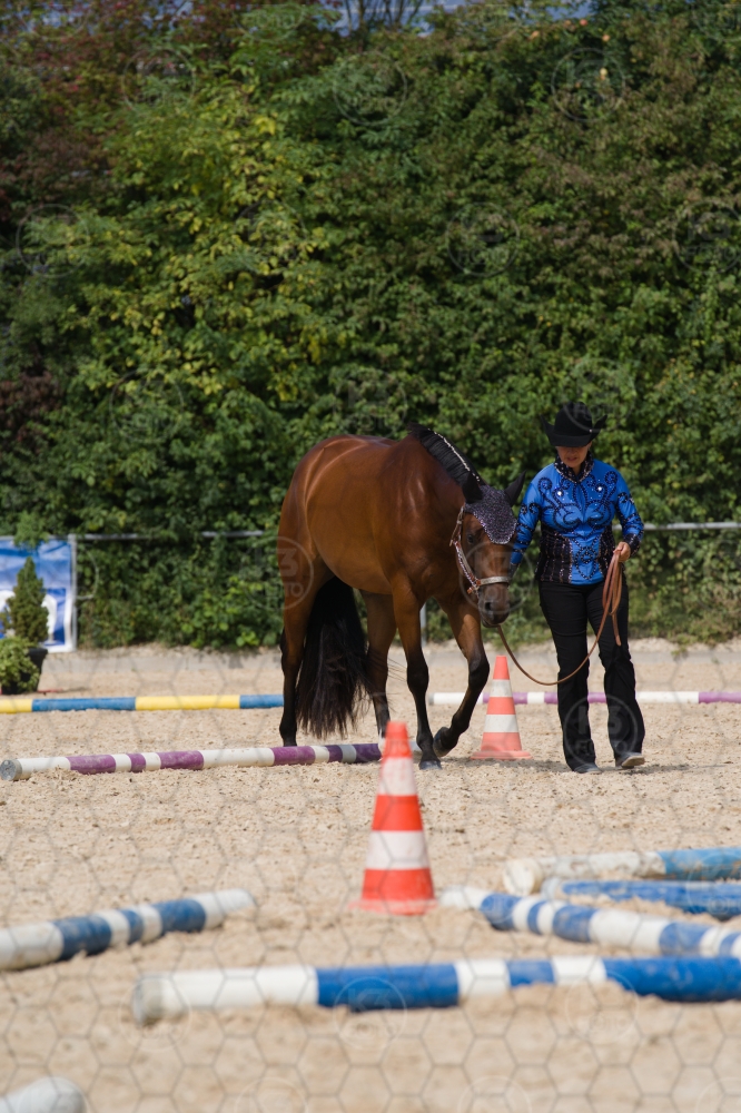 s_batch_A9_00088.jpg